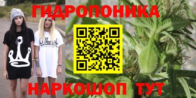 мяу мяу мука Краснодар